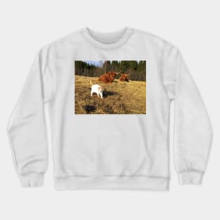 Scottish Highland Cattle Cows and cat 2359 Crewneck Sweatshirt